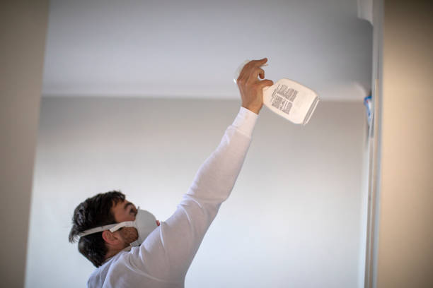 Best Localized Mold Remediation (e.g., coastal areas, humid climates) in Powell, OH