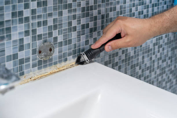 Best Health and Safety Mold Remediation in Powell, OH